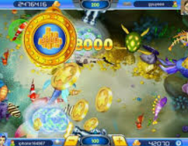 壹号电子娱乐app2024最新版